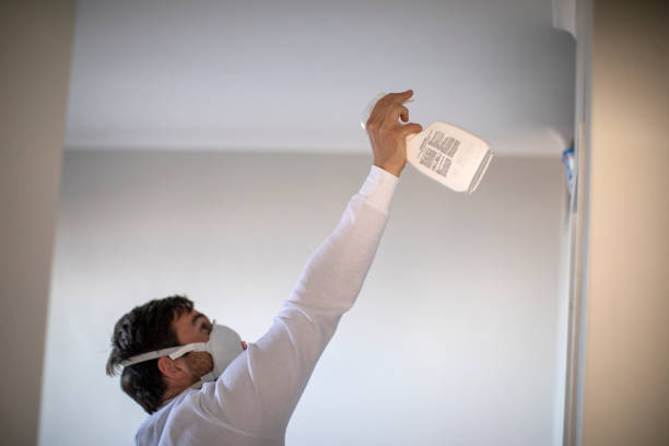 Professional Mold Remediation in Lacombe, LA