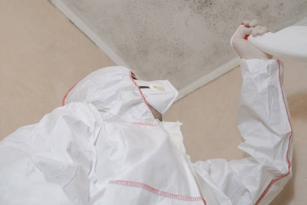 Best Kitchen Mold Remediation in Combe, LA